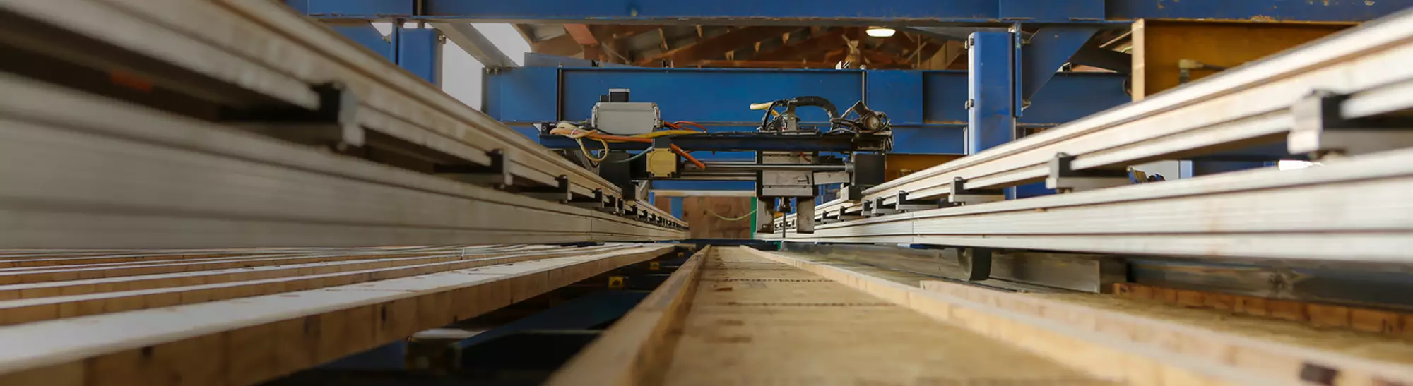 Insights and Trends Blog hero