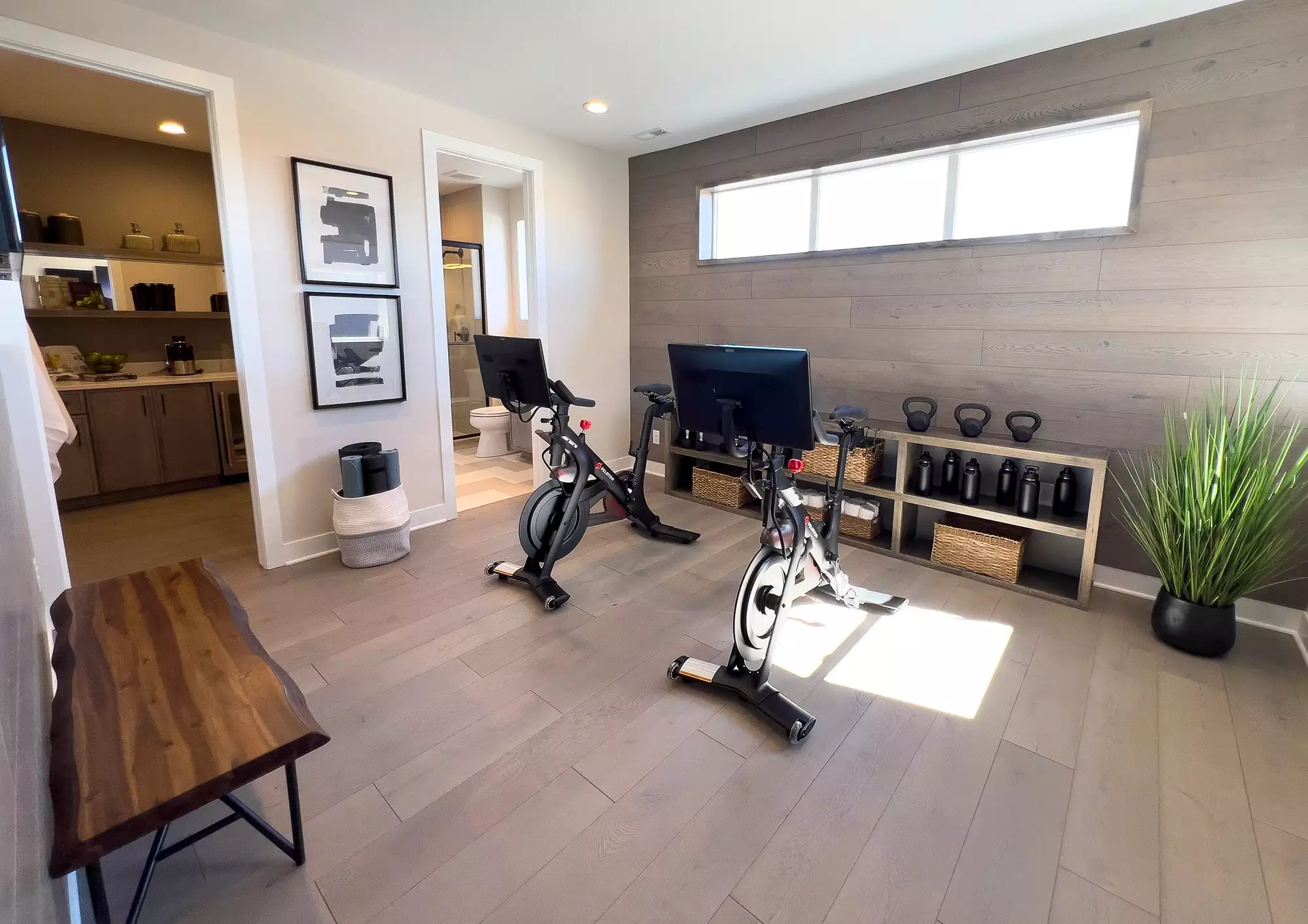 Modern Home Gym